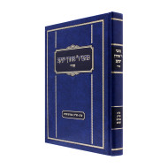 Kisvei Reb Aharon Yaakov Schwei  / כתבי ר' אהרן יעקב שווי