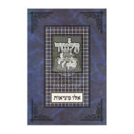 Gemara Perek Eilu Metzios - Tuvia / גמרא פרק אלו מציאות - טובי-ה
