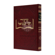 Shiurei Rebbi Shmuel Kiddushin   /   שיעורי רבי שמואל קידושין
