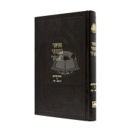 Otzer Geonei Sefard Bava Metzia Volume 2 /  אוצר גאוני ספרד בבא מציעא ב