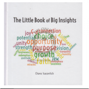 Little Book of Insights    