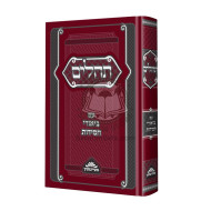 Tehillim Im Biurei Chassidus    /    תהלים עם ביאורי חסידות