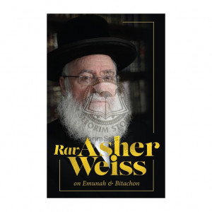 Rav Asher Weiss On Emunah & Bitachon
