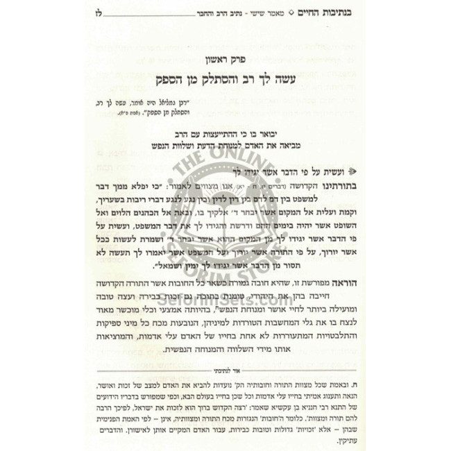 B'Nesivos HaChaim - Volume 2 / בנתיבות החיים - חלק ב
