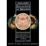 Halachos Of Brochos 