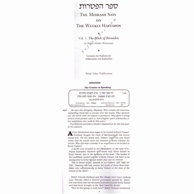 The Midrash Says - The Weekly Haftoros 