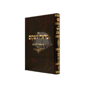Mareh HaMakom Vol. 1 - Gittin     /    מראה המקום א - גיטין