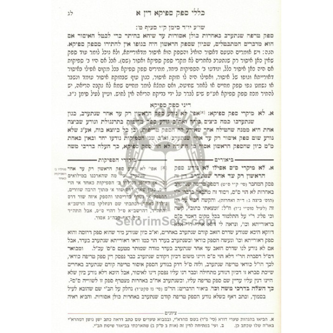 Klallei Sfek Sfeika L'HaShach   /   כללי ספק ספיקא להש"ך