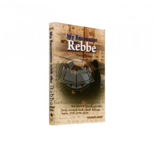 My Encounter with the Rebbe Volume 3       