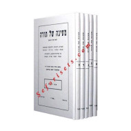 Mayana Shel Torah     /     מעינה של תורה