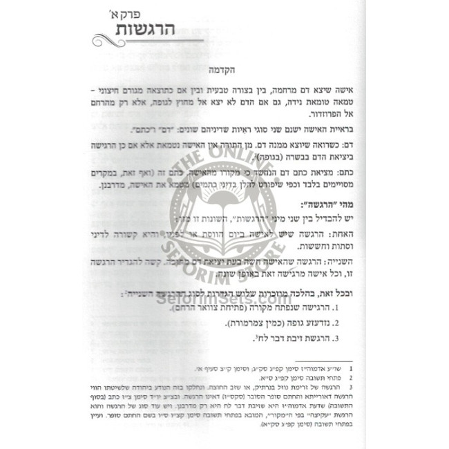 Mayim Chaim Al Hilchos Nidah U'Tevila  /  מים חיים על הלכות נדה וטבילה