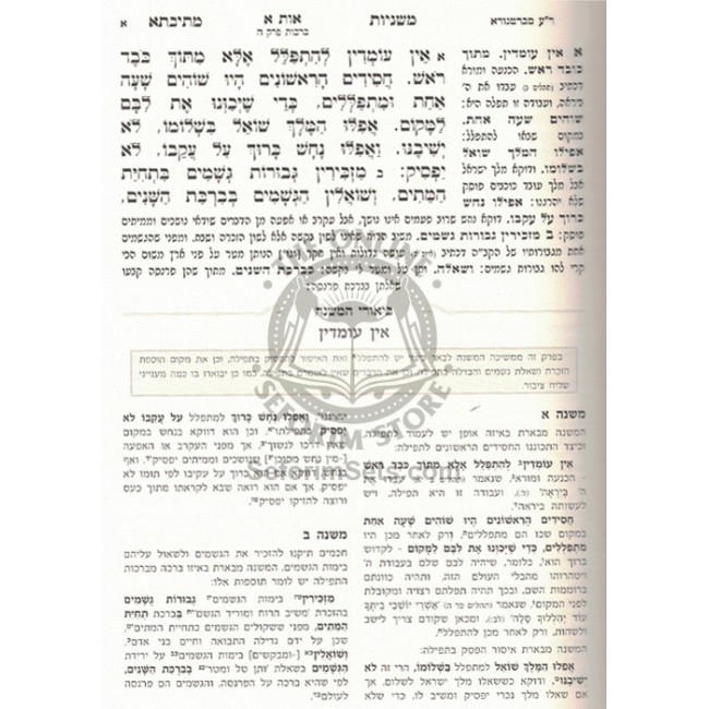 Mishnayos Mesivta L'Yom Hashana / משניות מתיבתא ליום השנה