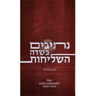 Nesivim Bisdei Hashlichus Vol 3  /  נתיבים בשדה השליחות ח"ג
