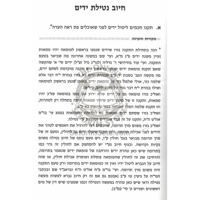 Netilas Yadayim K'Hilchasa / נטילת ידים כהלכתה