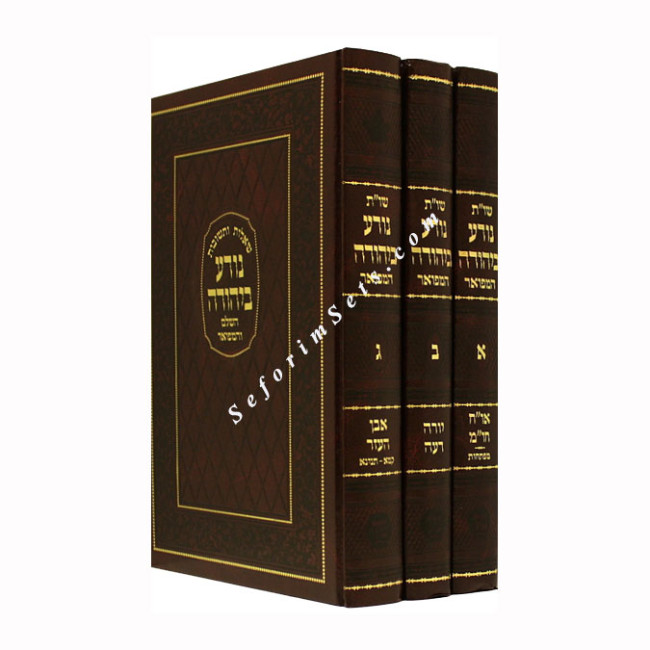 Shut Nodah BiYehuda        /      שו"ת נודע ביהודה מיר