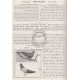 Chumash Peshuto Shel Mikrah - Rashi K'pshuto - Vayikra   /  חומש פשוטו של מקרא - רש"י כפשוטו - ויקרא