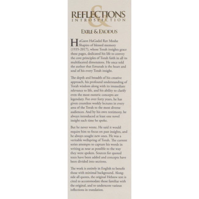 Reflections Introspection - R' Moshe Shapiro 