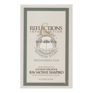 Reflections Introspection - R' Moshe Shapiro 