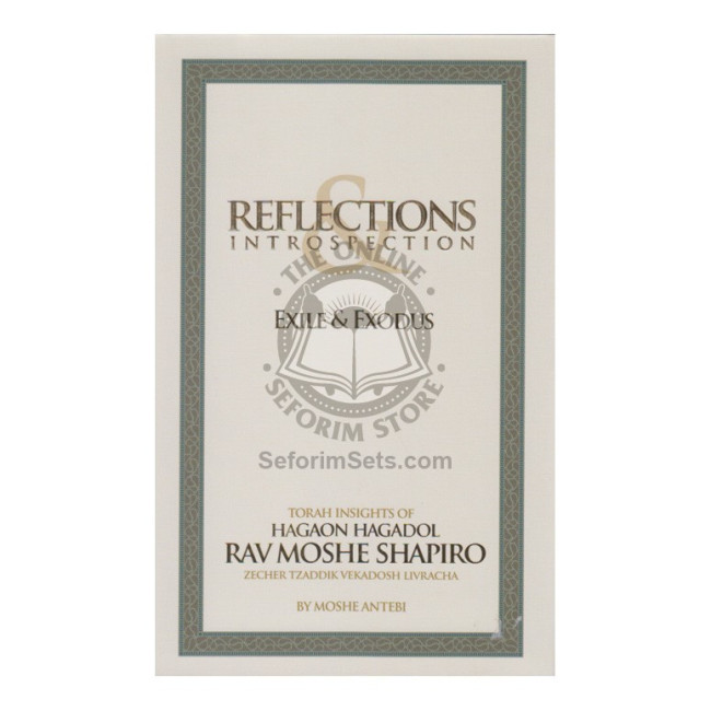 Reflections Introspection - R' Moshe Shapiro 
