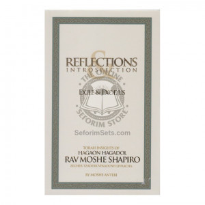 Reflections Introspection - R' Moshe Shapiro 