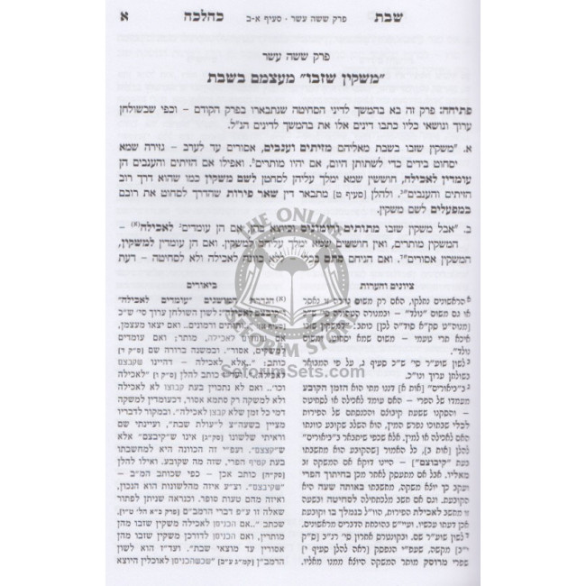Shabbos K'Halacha Volume 3        /       שבת כהלכה ג