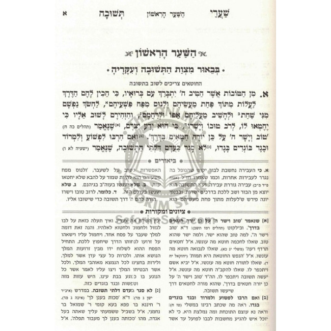 Sharei Teshuvah Hamevuar / שערי תשובה המבואר