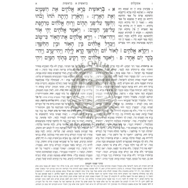 Shul Chumash - Rashi Meruba U'Menukad  /  שול חומש - רש"י מרובע ומנוקד