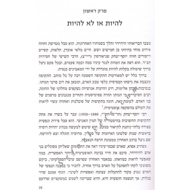 Sodo Shel Harebi          /       סודו של הרבי