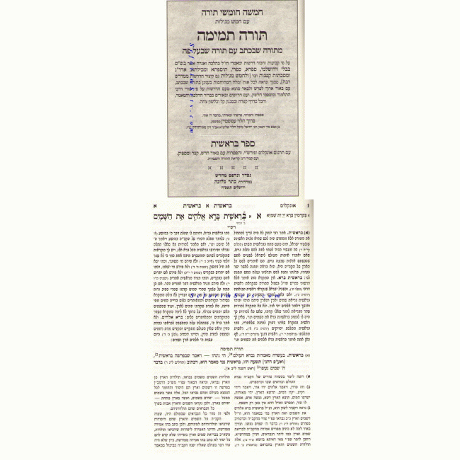 Chumash Torah Temimah       /     חומש תורה תמימה