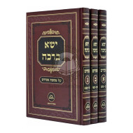 Yisa Bracha - Pesachim   /   ישא ברכה - פסחים