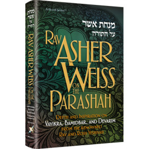 Rav Asher Weiss on the Parashah (volume 2)  