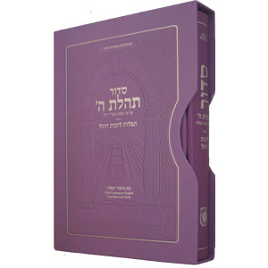 Siddur Weekday for Youth with Eng. Purple       