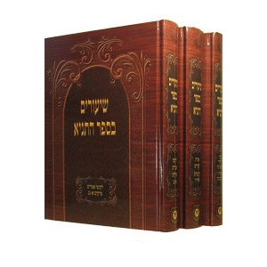 Shiurim Bsefer Hatanya - Hebrew     /     שיעורים בספר התניא לשון הקודש