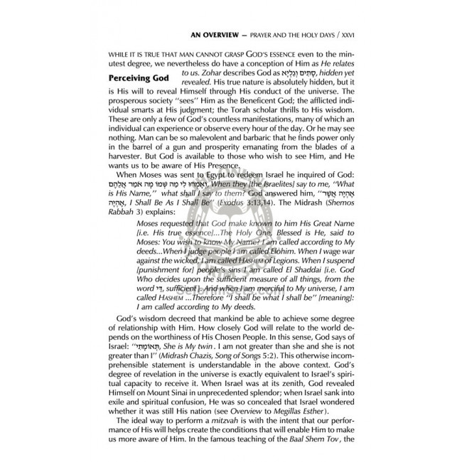 Schottenstein Siddur & Tehillim - Interlinear Translation 3 Vol Slipcased Set  