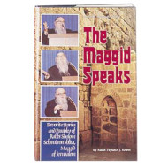 The Maggid Speaks