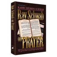 Rav Schwab on Prayer
