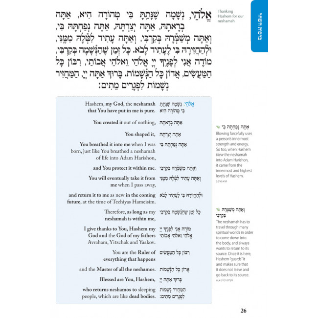 Siddur Weekday for Youth with Eng. Blue         