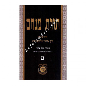 Toras Menachem Volume 40        /       תורת מנחם מ