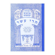 Nach Metzudah Trei Asar / נ"ך מצודה תרי עשר