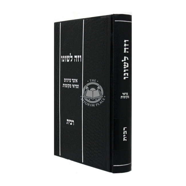 Vezeh Leshono / וזה לשונו - הלכות רבית