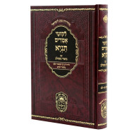 Tanya Im Biur Meshulav  Perakim 26-31 (Volume 4) / תניא עם ביאור משולב פרקים כו-לא (חלק ד)