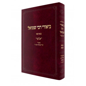 Biurei Rabbi Shmuel - Bava Kama / ביאורי רבי שמואל – בבא קמא 