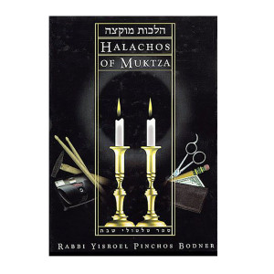 Halachos of Muktza