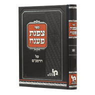 Tzafnas Paneach Al HaRambam - Hilchos Geirushin / צפנת פענח על הרמב"ם - הלכות גירושין