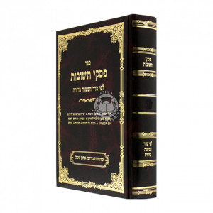 Piskei Teshuvos Volume 2 / פסקי תשובות חלק ב