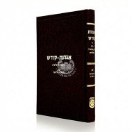 Igros Kodesh Volume 41 / אגרות קודש חלק מא