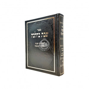 Shabbos K'Halacha - Volume 4      /      שבת כהלכה ד