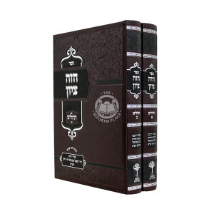 Chazei Tziyon - Tehillim 2 Volume Set / חזה ציון - תהלים ב כרכים