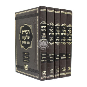 B'eir Hachaim Al Hamoadim / באר החיים על המועדים ה"כ