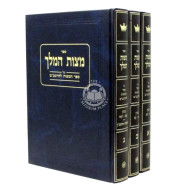 Mitzvas Hamelech    /   מצות המלך ג"כ